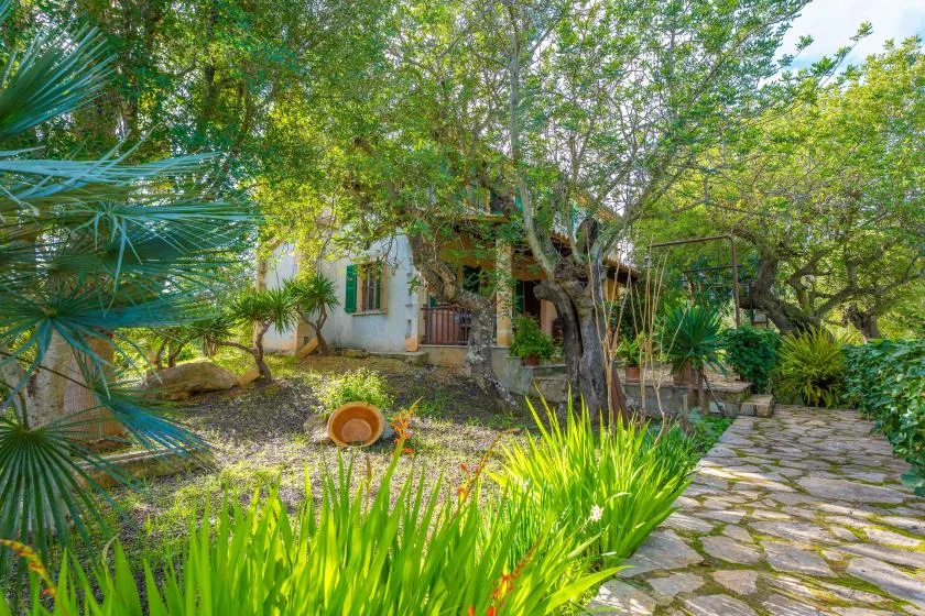 Un sendero de piedra atraviesa la vegetación frondosa junto a un pequeño edificio.