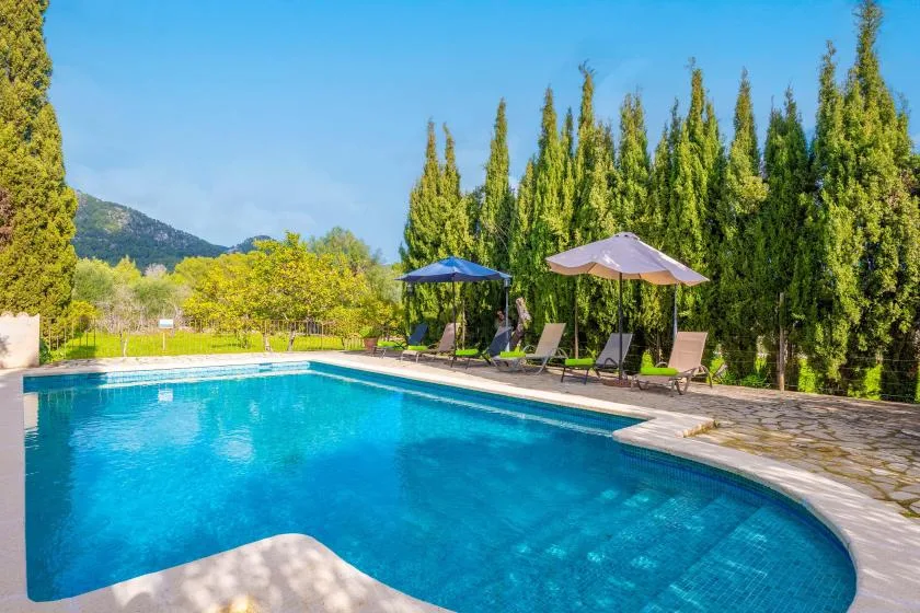 Una piscina al aire libre está rodeada de asientos reclinables y sombrillas.