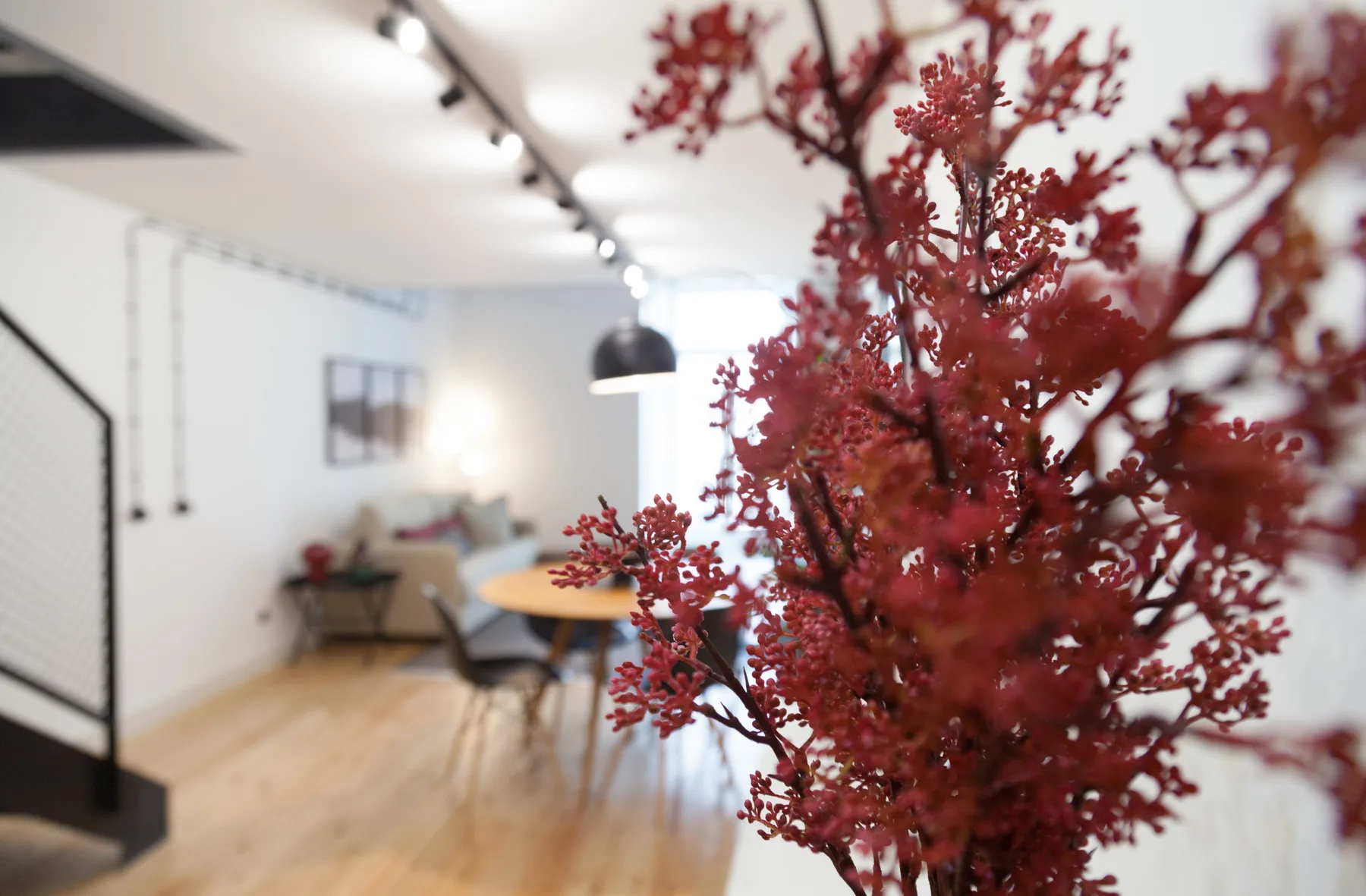 Un comedor luminoso con una mesa y sillas junto a una planta de hojas rojas.
