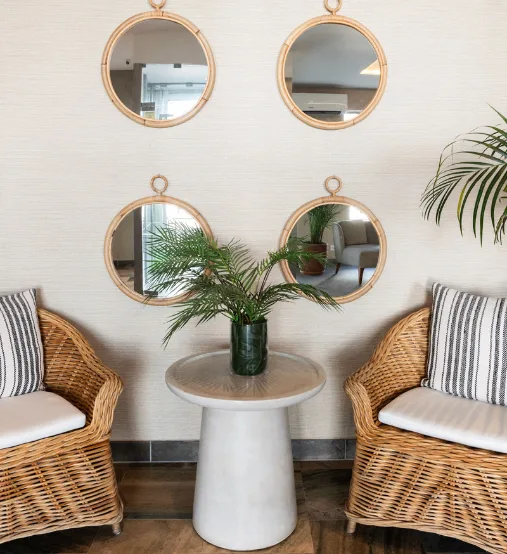 Dos sillas de mimbre y una mesa con una planta