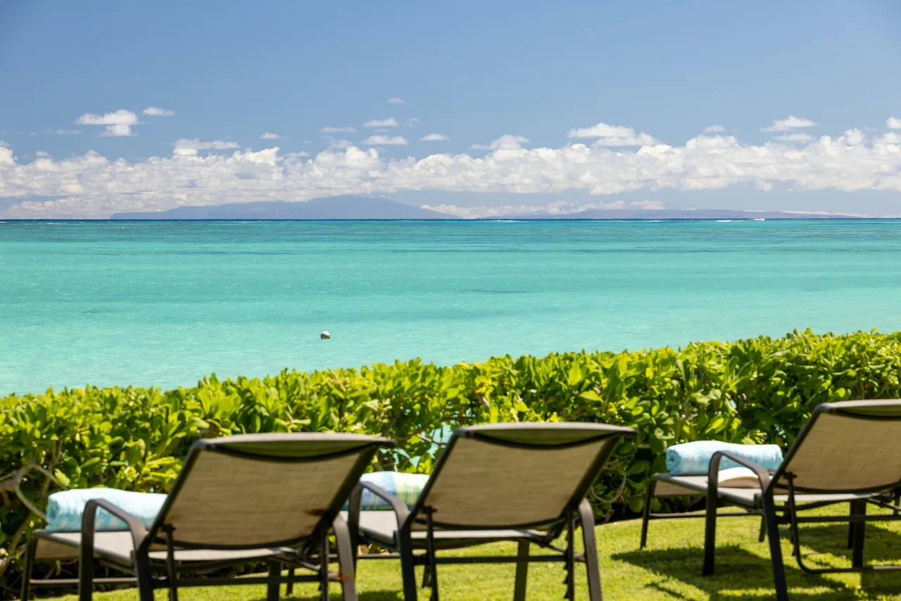 Outdoor seating faces a turquoise sea beyond a leafy hedge.