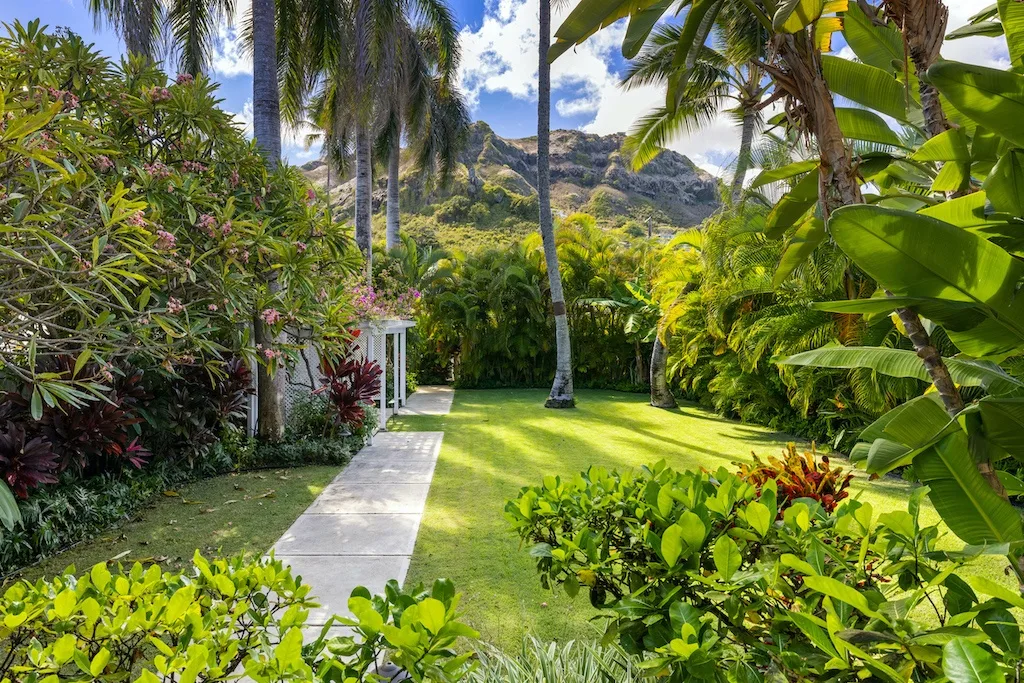 A tropical garden path runs through lush greenery toward a mountain view.