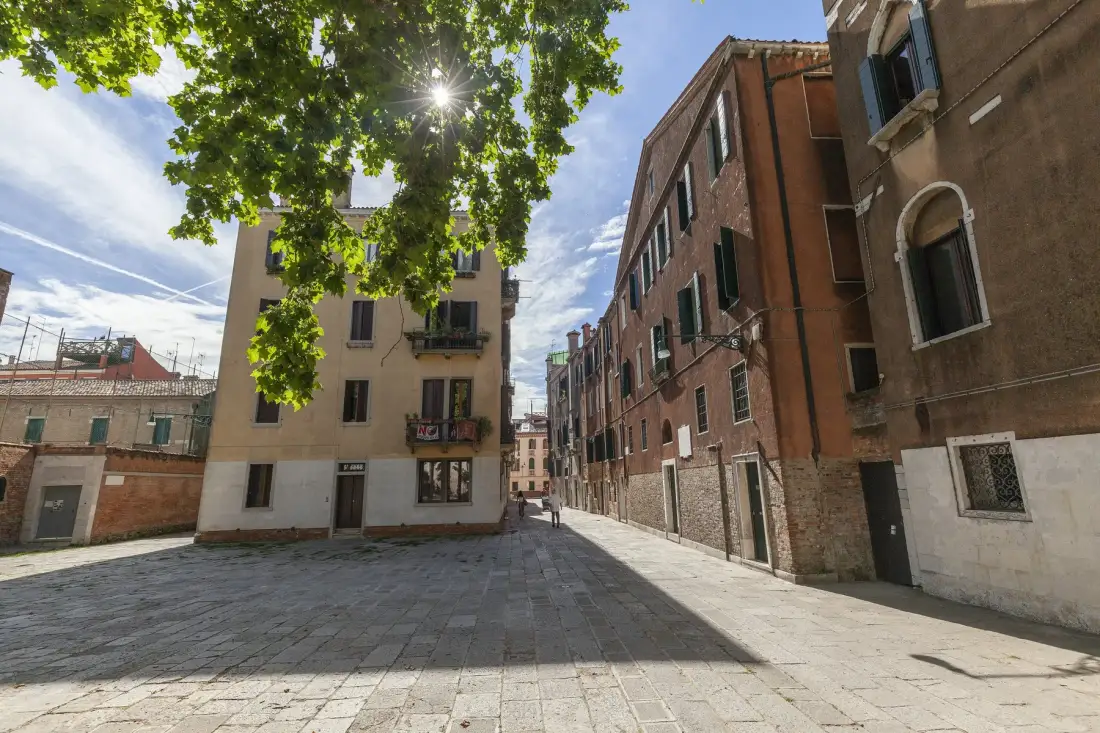 Un patio pavimentado y soleado está rodeado de edificios y ramas frondosas.