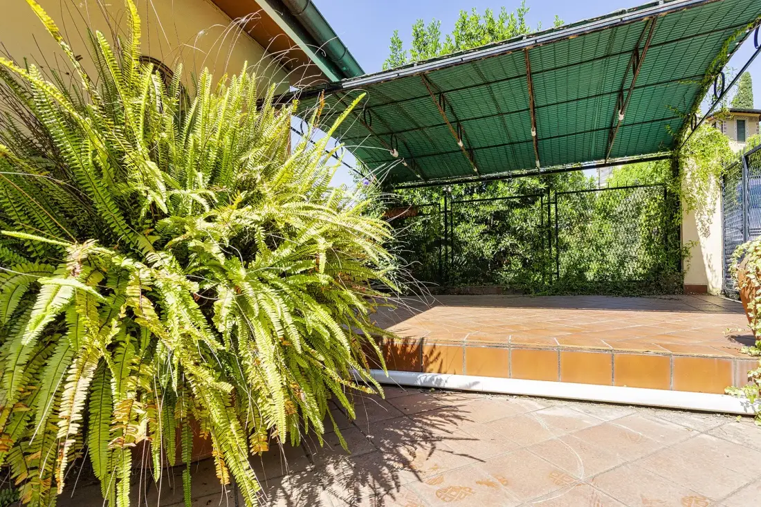 Un patio exterior de baldosas está bajo un toldo verde, junto a helechos frondosos.