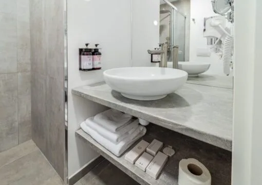 Twin Standard room