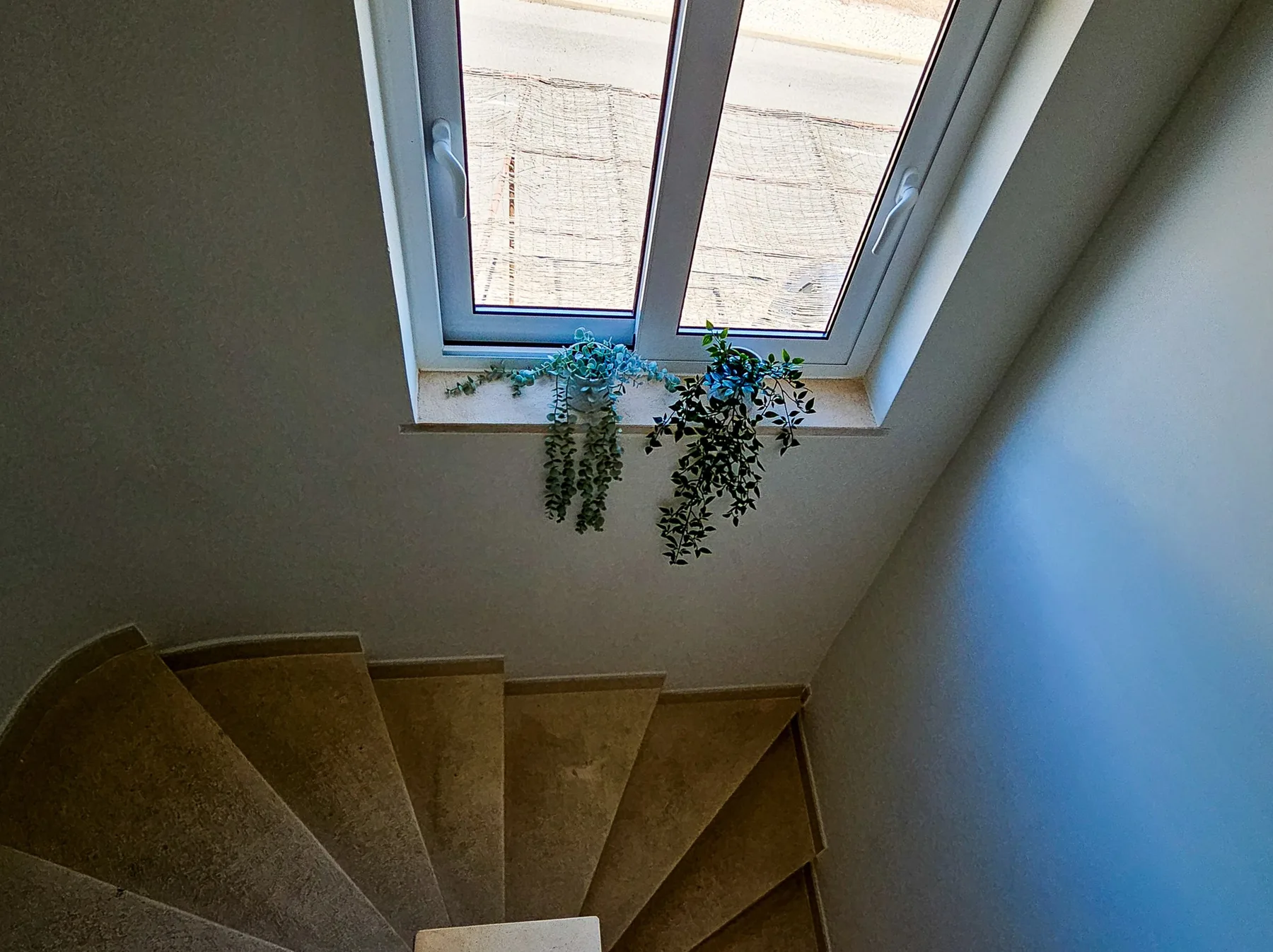 Una escalera curva sube bajo una ventana con plantas colgantes.