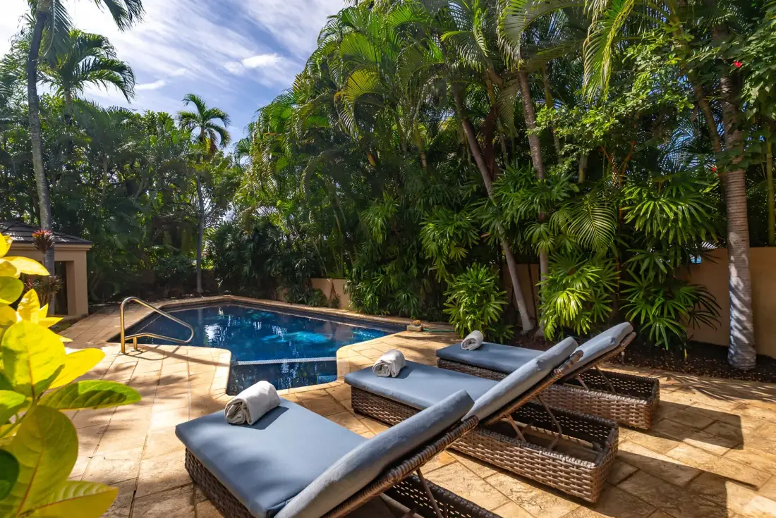 A swimming pool sits among tropical greenery beside cushioned lounge seating.