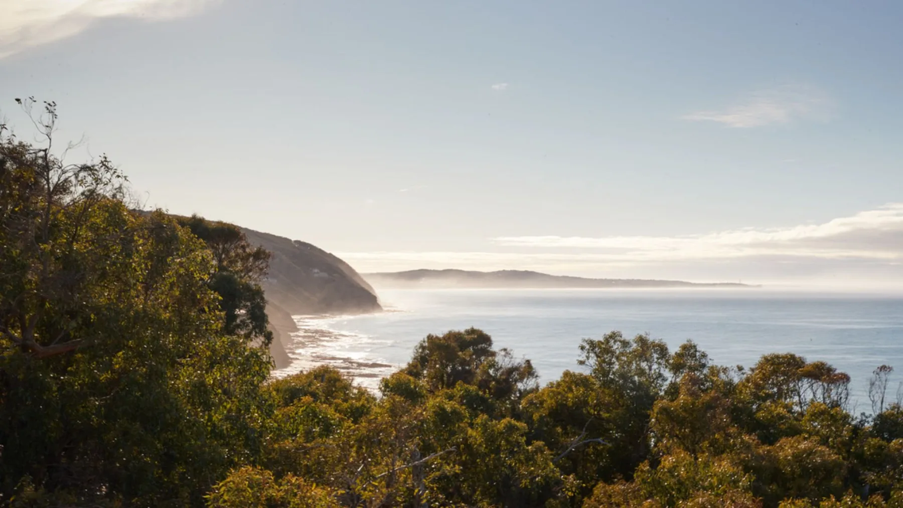 Un paisaje costero con vistas al mar, una costa curva y árboles en primer plano.
