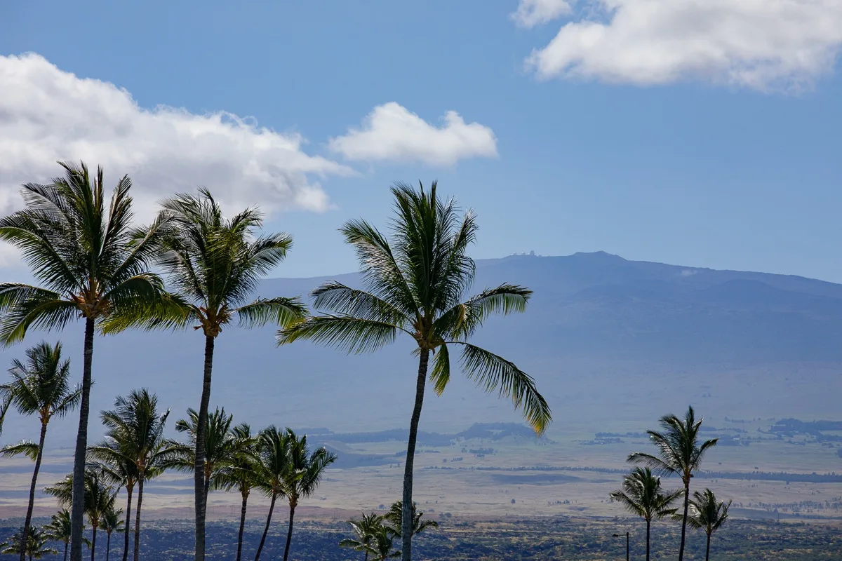 Palmeras enmarcan un amplio paisaje montañoso bajo un cielo parcialmente nublado.