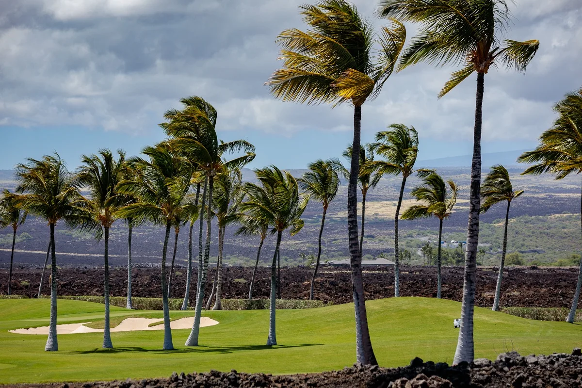 Un campo de golf con césped verde y palmeras bajo un cielo nublado.