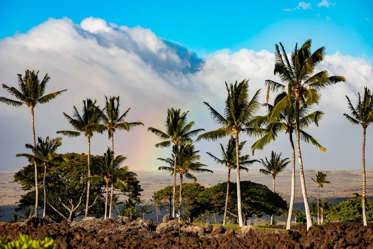 Un paisaje tropical con palmeras en primer plano y montañas a lo lejos.
