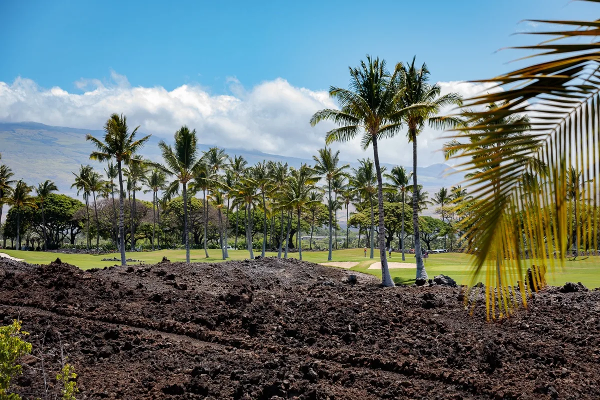 Paisaje bordeado de palmeras con una amplia zona de tierra oscura bajo un cielo azul.
