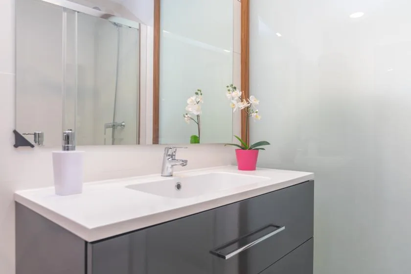 A bathroom vanity with a white sink and a potted orchid sits beneath a large mirror.