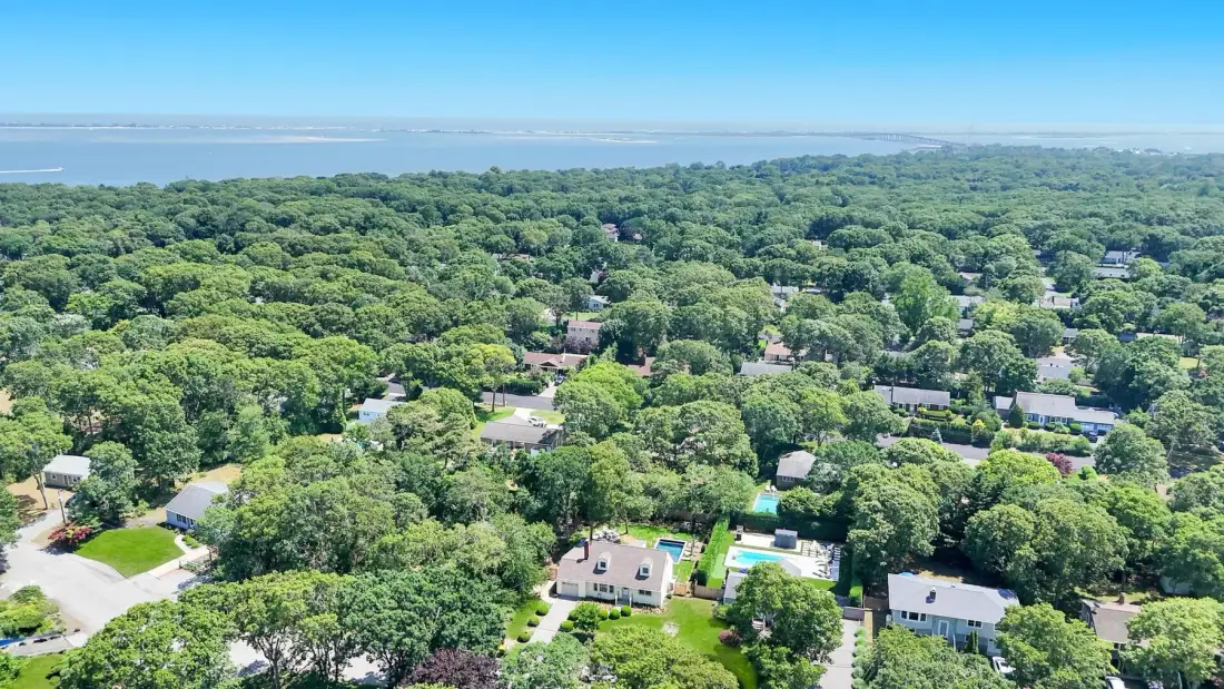 An aerial view shows homes among dense trees, with water visible on the horizon.
