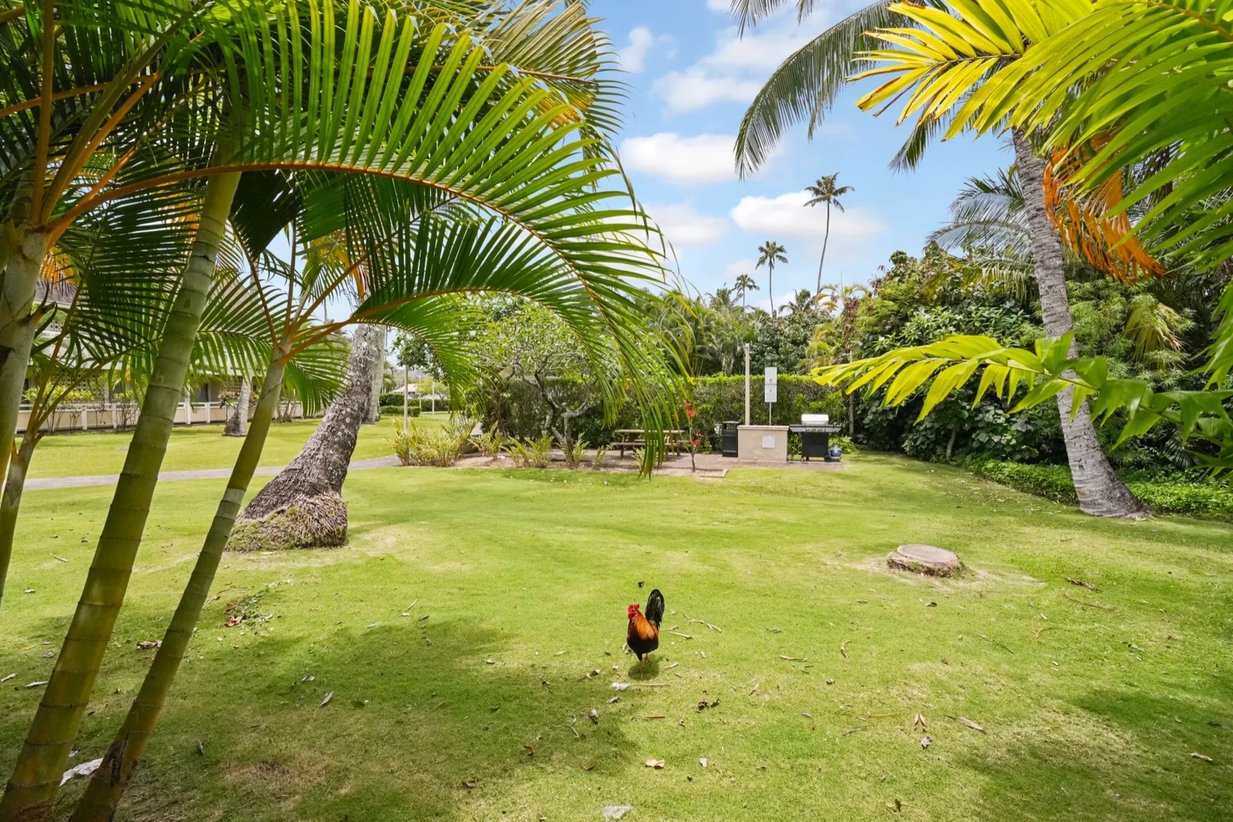 Un jardín tropical con palmeras y un ave sobre el césped.