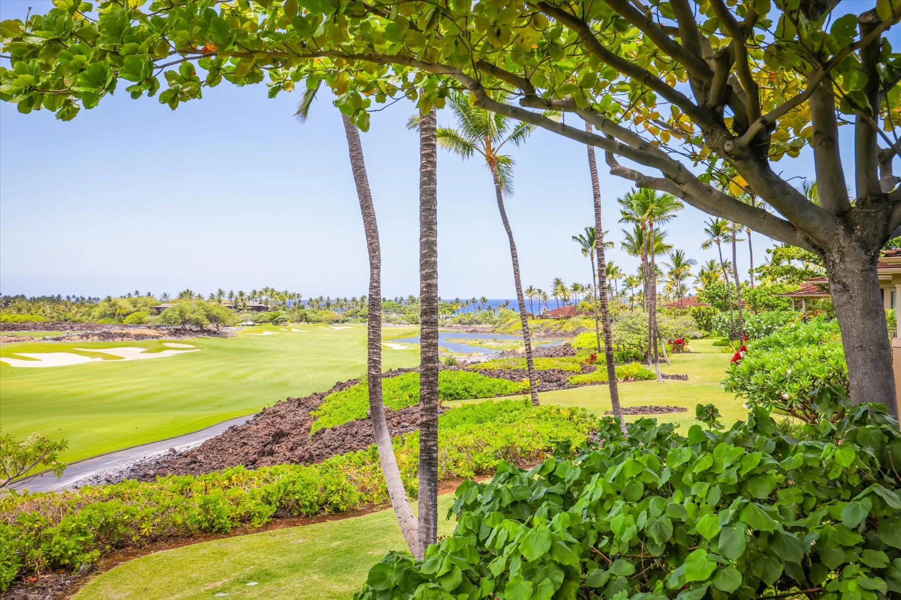 A tropical golf course stretches across a green landscape beneath palm trees.