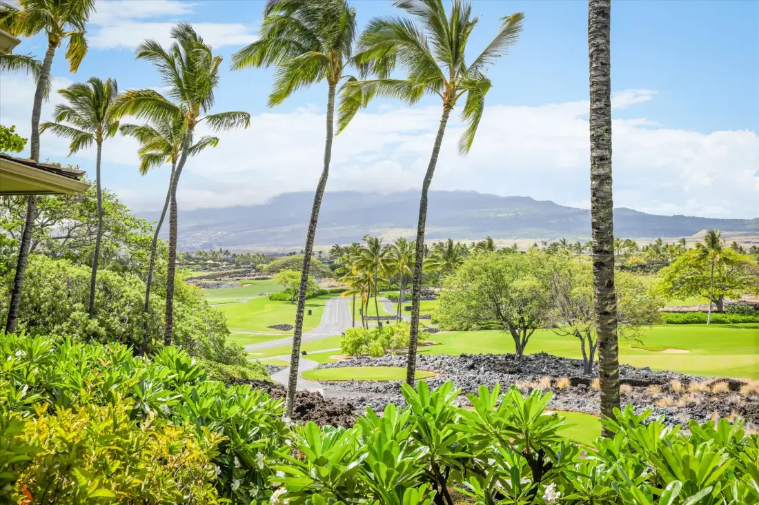 A tropical golf course with palm trees and distant mountains.