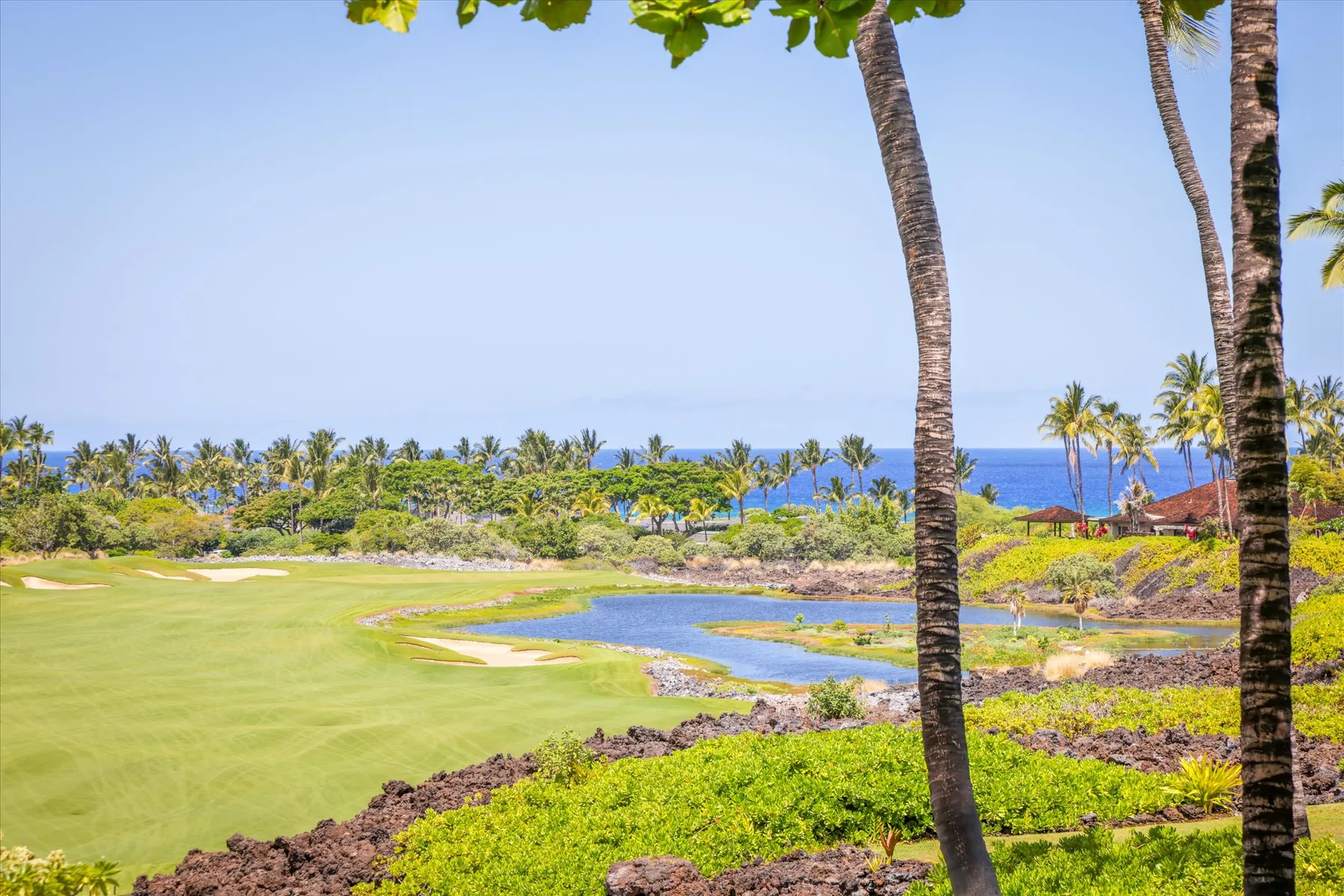 A tropical coastal landscape with a green lawn, a pond, and palm trees.