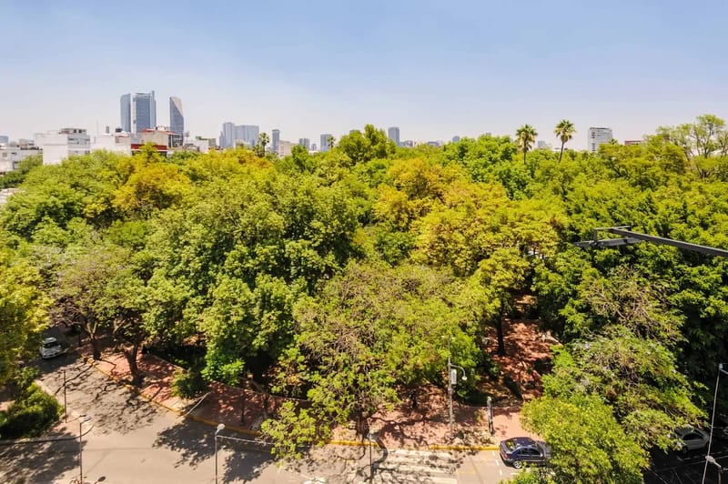 Amazing Loft w/ Balcony in Parque Mexico