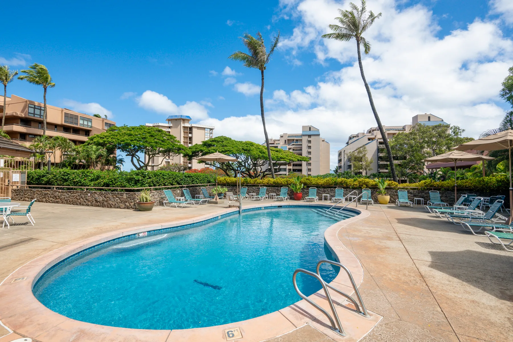 A swimming pool sits among lounge seating and palm trees.