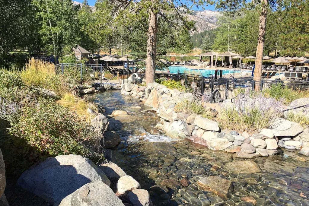 Un arroyo rocoso bordea una piscina al aire libre rodeada de árboles.