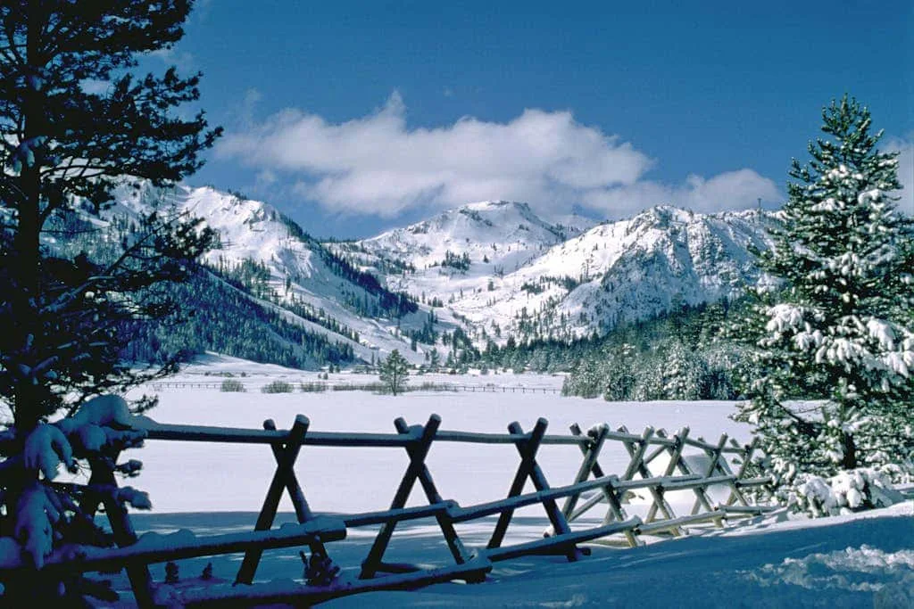 Un valle montañoso nevado se extiende detrás de una cerca de madera y árboles de hoja perenne.