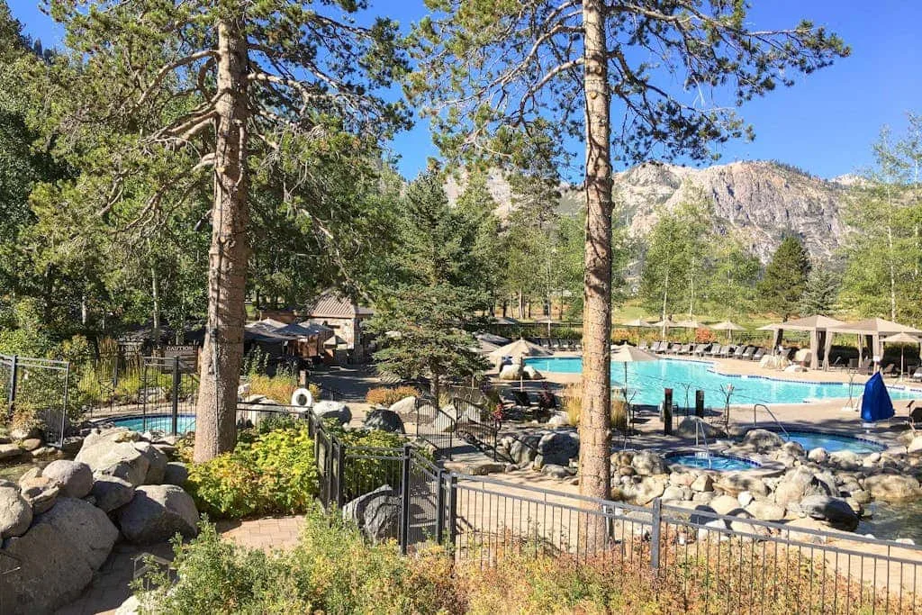 Una piscina al aire libre rodeada de árboles y un paisaje rocoso.