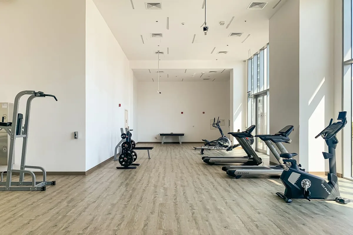 Un gimnasio luminoso con máquinas de ejercicio, pesas y ventanas altas.