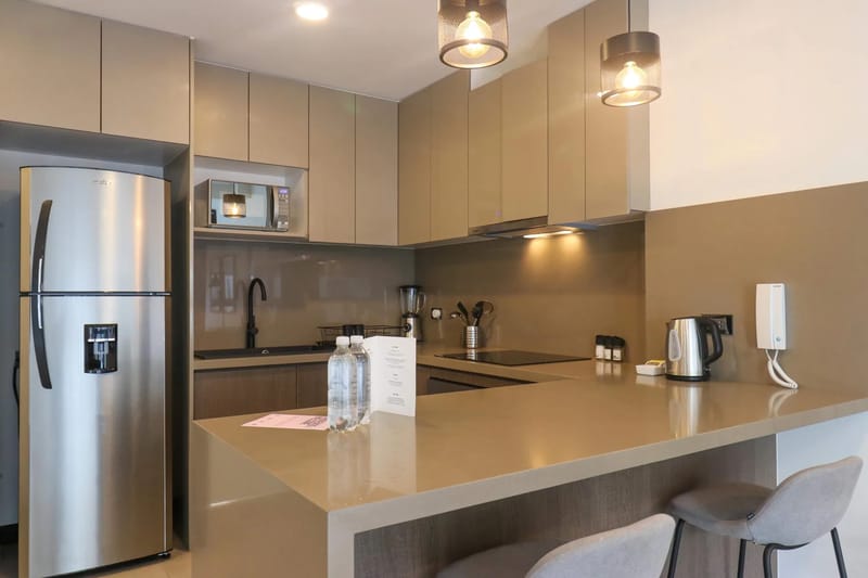 Spacious 1BR in San Isidro