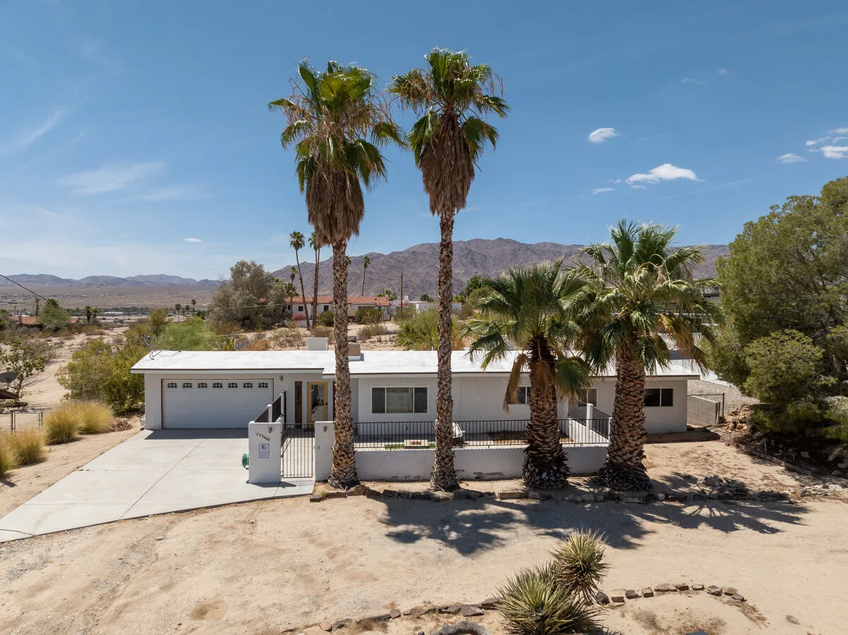 Hollywood Oasis