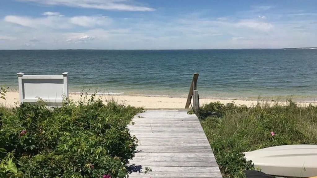 Un sendero de madera cruza la vegetación costera hasta una playa de arena y el agua.