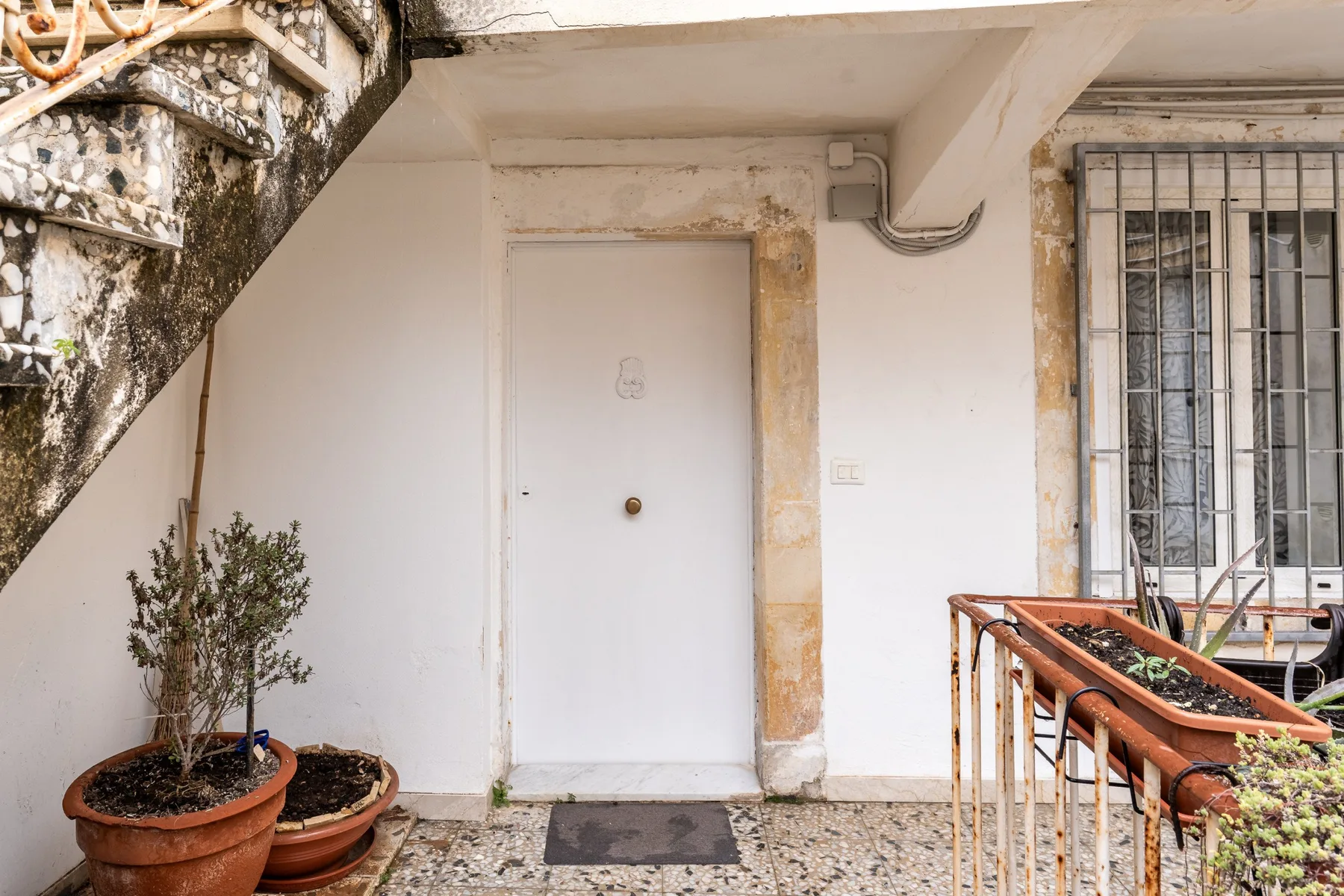 Una puerta blanca da a un pequeño rellano junto a una escalera y plantas en macetas.