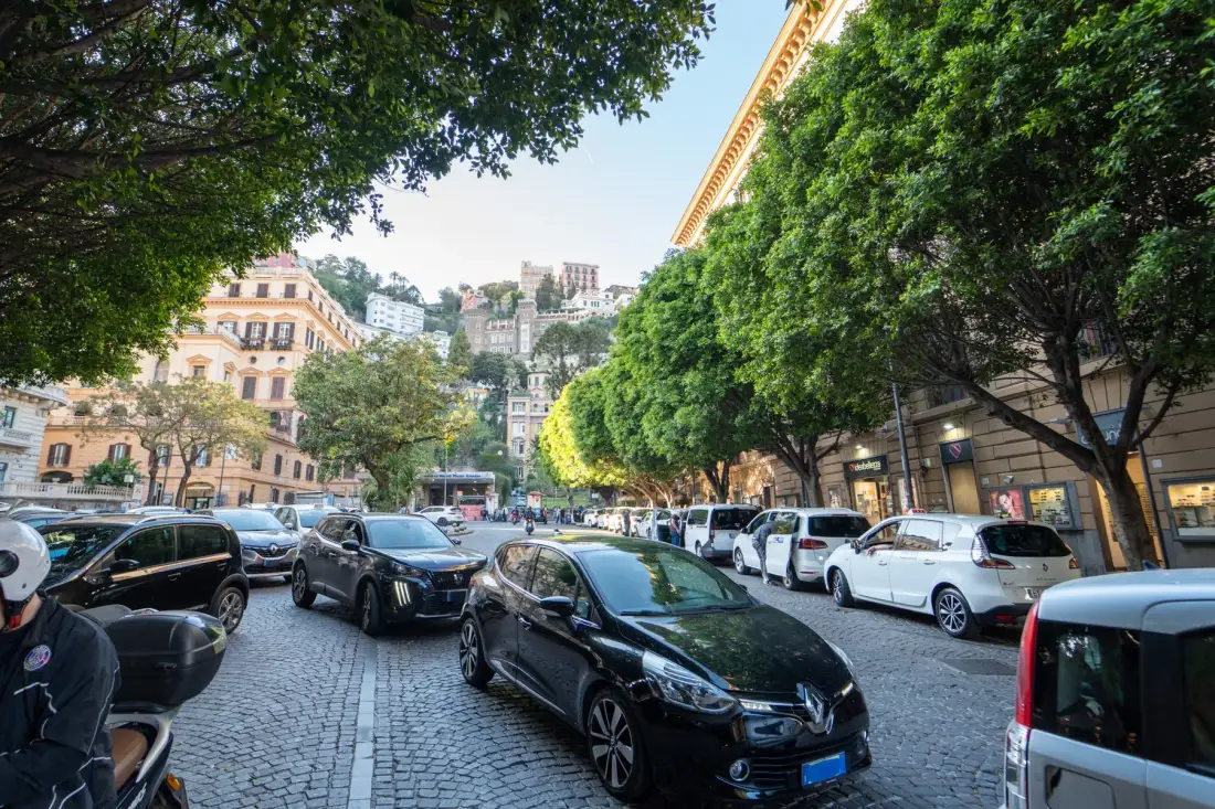 A tree-lined city street with parked cars and buildings.