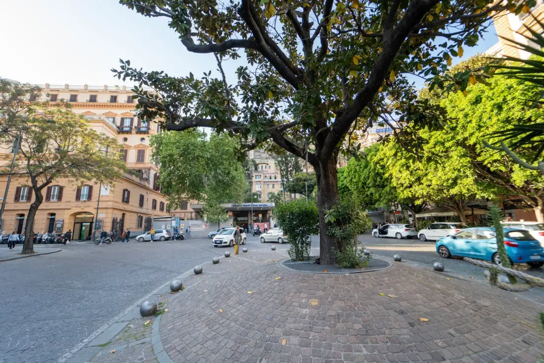 A tree-lined urban plaza with surrounding buildings and parked cars.