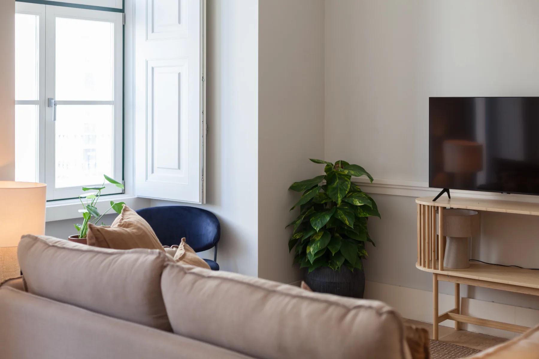 Sala de estar con asientos, un televisor y una planta en maceta.