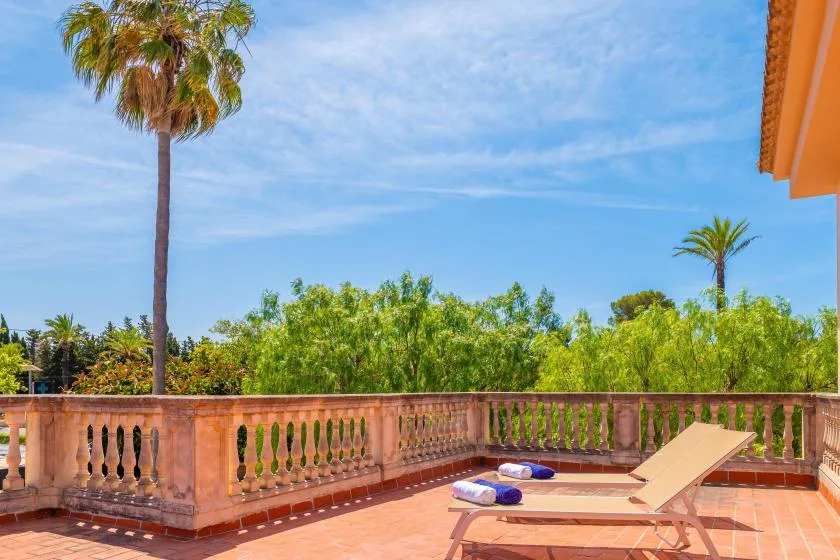Una terraza soleada con asientos de descanso da a zonas verdes y palmeras.