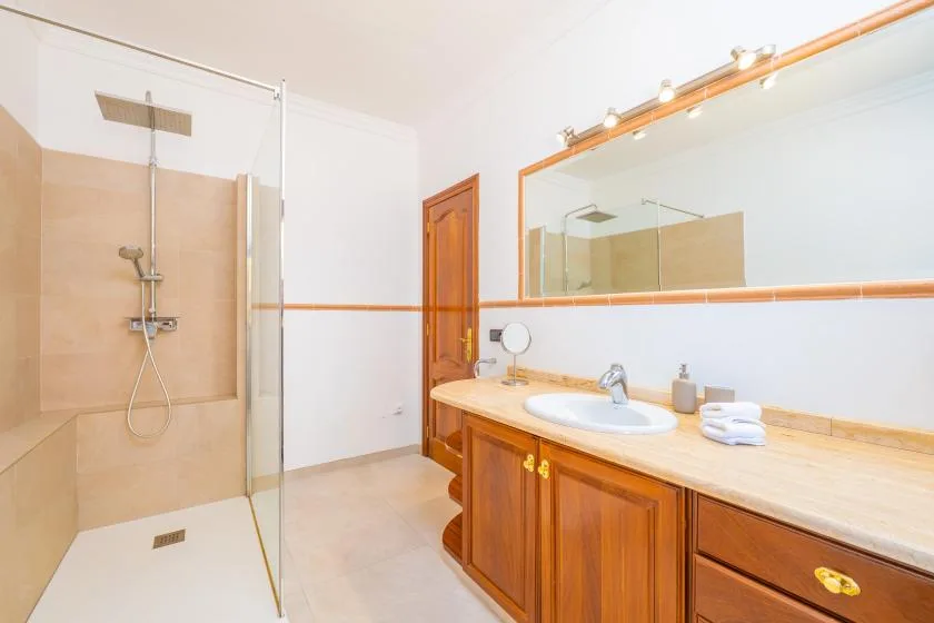 Un baño con ducha de vidrio, lavabo y mueble de madera.