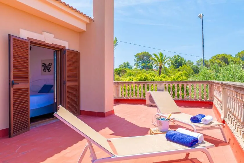 Una terraza soleada con tumbonas reclinables mira hacia árboles y palmeras.