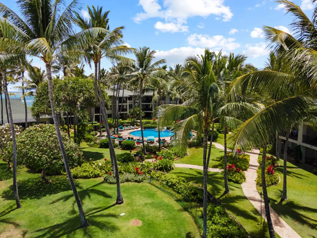 A tropical garden surrounds a swimming pool, with palm trees and a winding path.