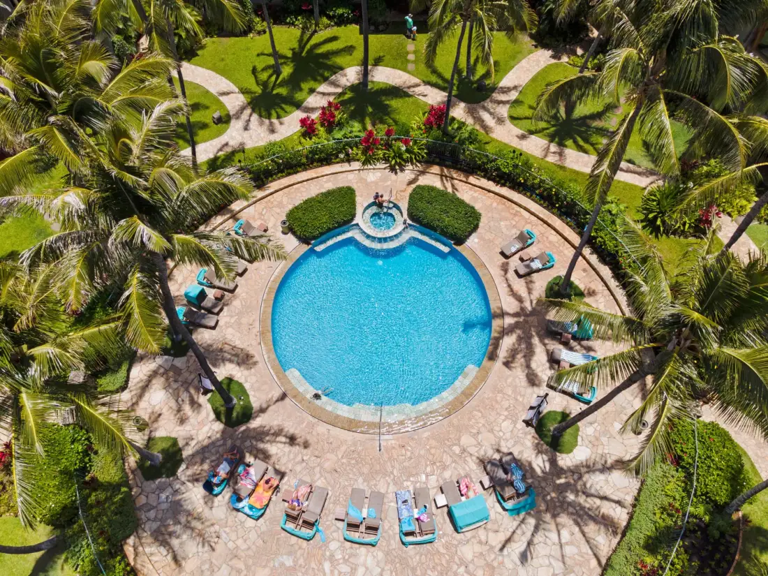 An aerial view of a swimming pool surrounded by palm trees and garden paths.