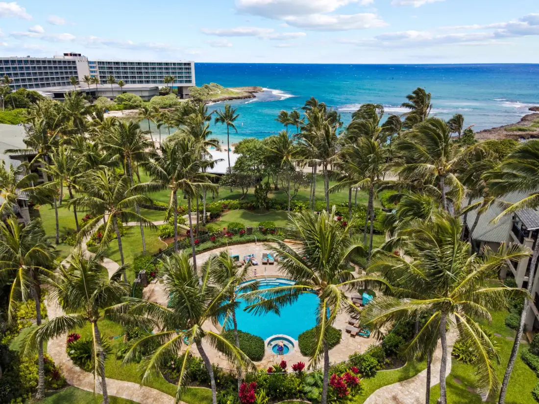 Aerial view of a palm-lined resort pool beside the ocean.