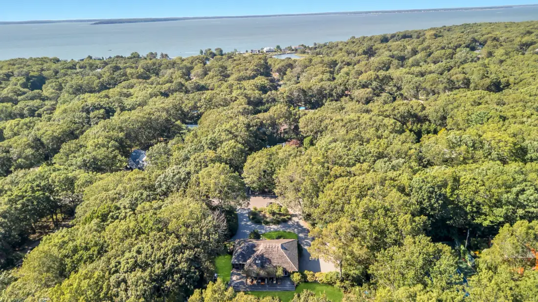 Vista aérea de una pequeña construcción rodeada de bosque frondoso, con agua al fondo.