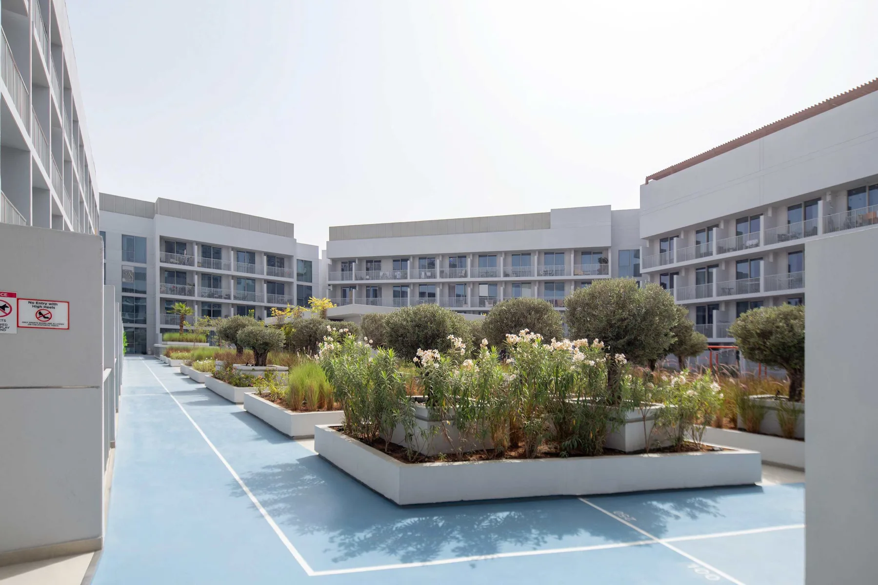 A rooftop courtyard with raised planted beds and a blue walking surface.