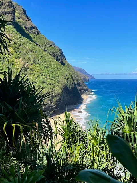 Paisaje costero con un acantilado verde, el océano y olas junto a la orilla.