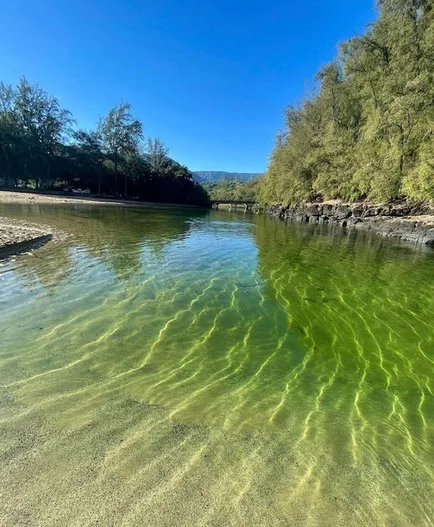 Un río claro y poco profundo fluye entre orillas arboladas bajo un cielo azul.
