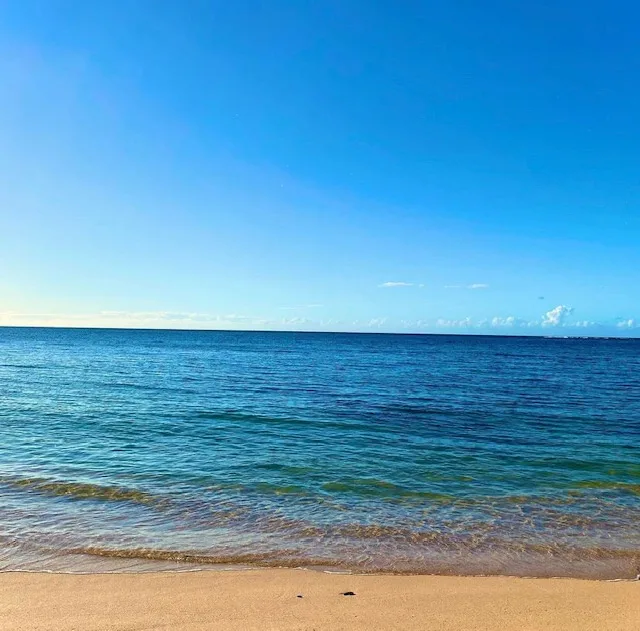 Una playa de arena se encuentra con el océano azul bajo un cielo despejado.