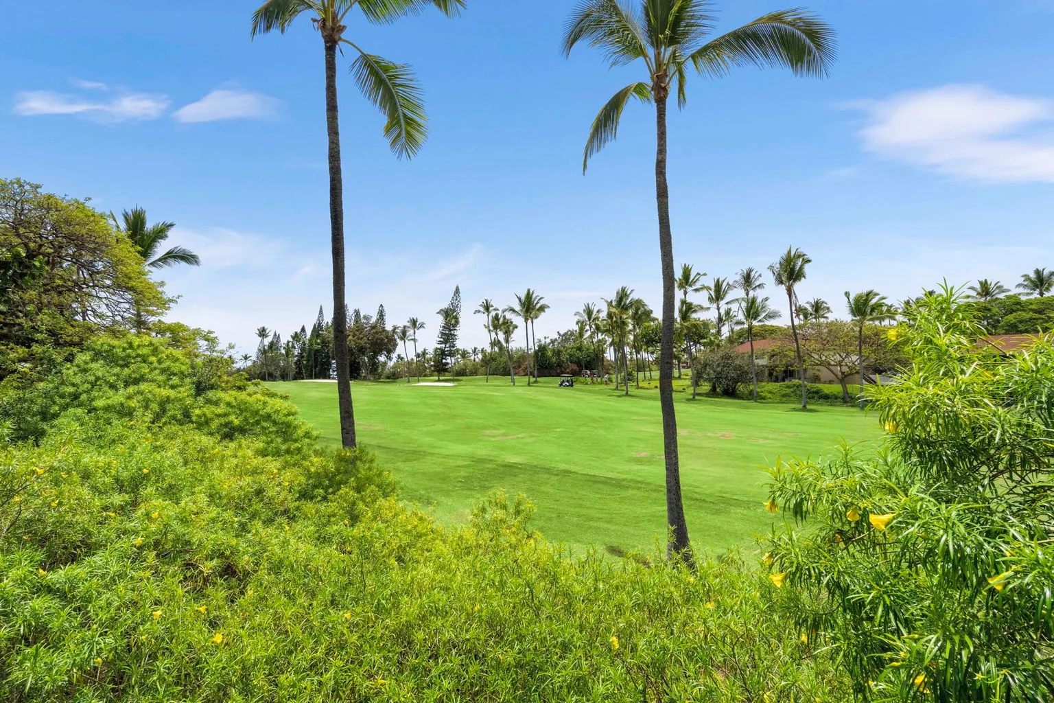 A green golf course bordered by tropical plants and palm trees.