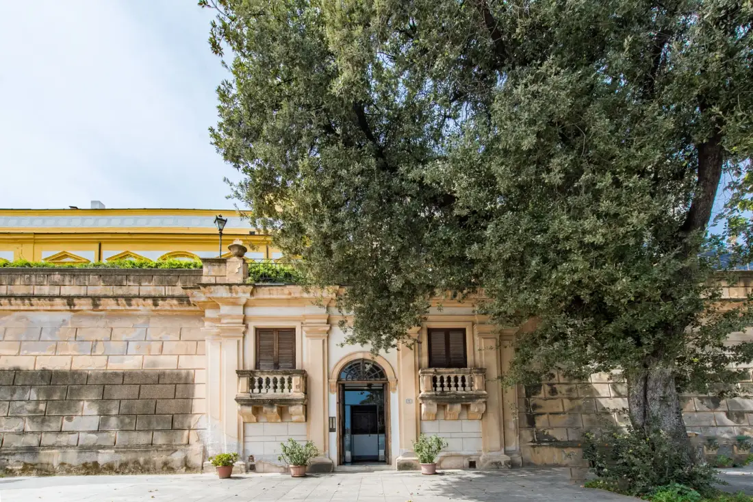 A historic-looking building entrance sits behind a large leafy tree.