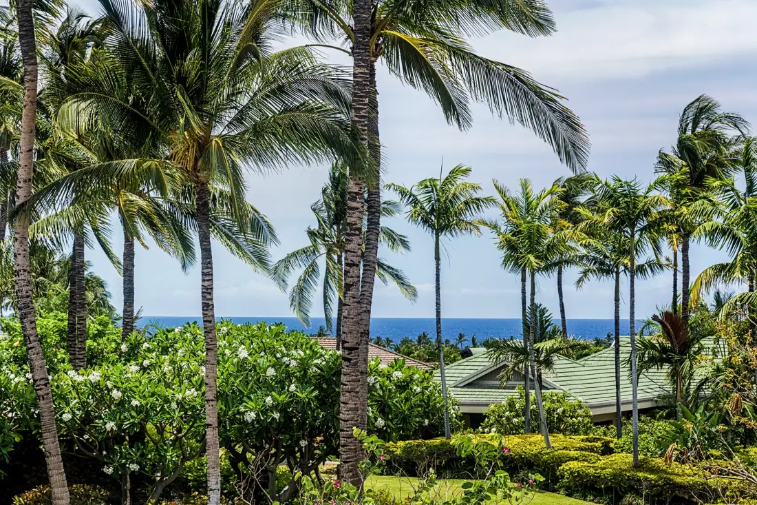 Palm trees and lush greenery frame a view of the ocean and a nearby roof.