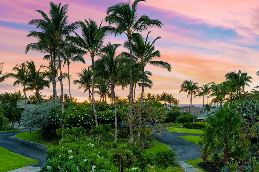 A landscaped tropical garden with palm trees and curving paths beneath a colorful sunset sky.